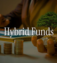 Hybrid-Funds