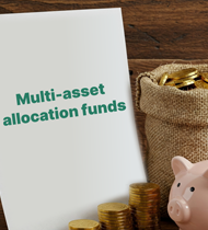 Multi-Asset-Funds